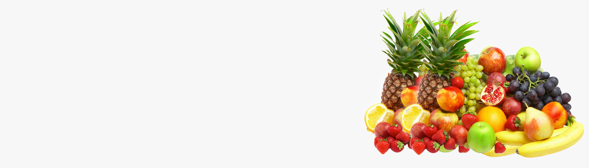 Sugar processing enzymes manufacturers in India