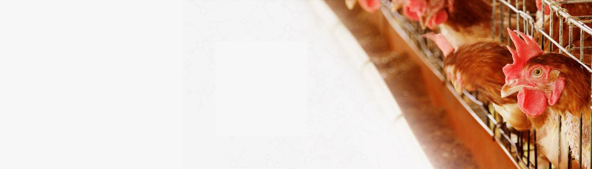 Bootstrap Touch Slider